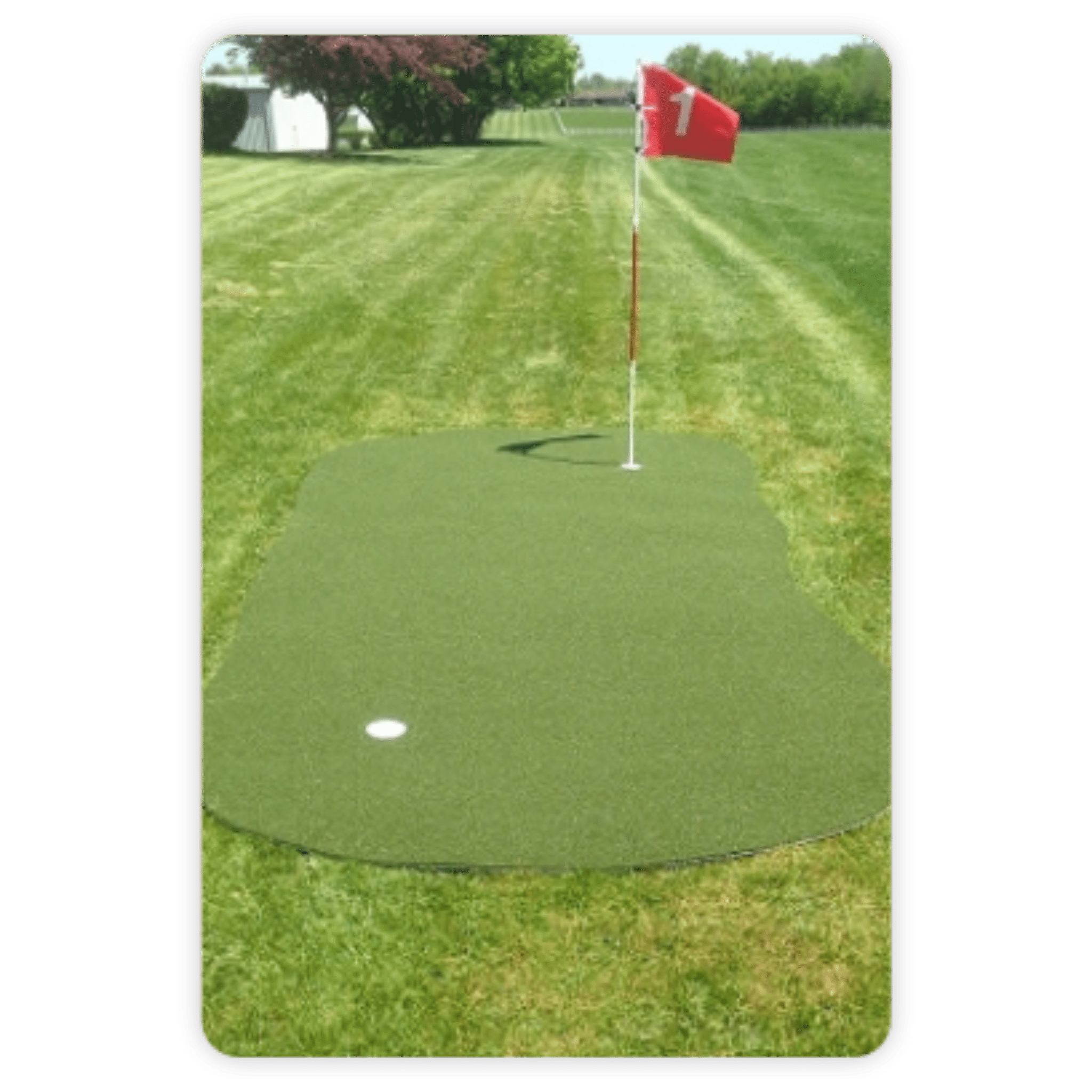 Big Moss Putting Green Big Moss Outdoor 612 Target & Putting Green